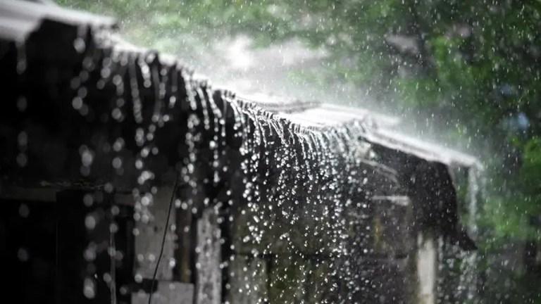 সোমবার থেকে বৃষ্টির আভাস, সপ্তাহজুড়ে বাড়তে পারে বজ্রসহ বৃষ্টির প্রবণতা