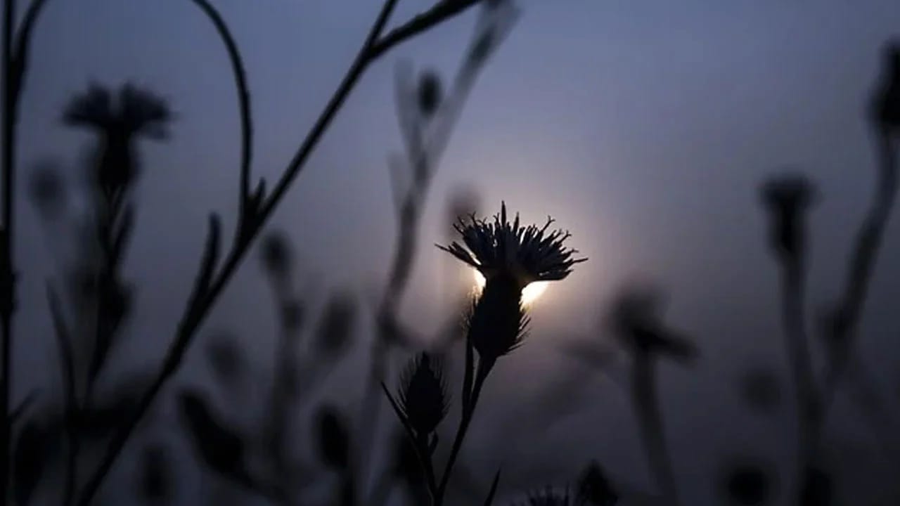 তেরতম তারাবি, দাওয়াতের পথে অবিচল থাকার শিক্ষা