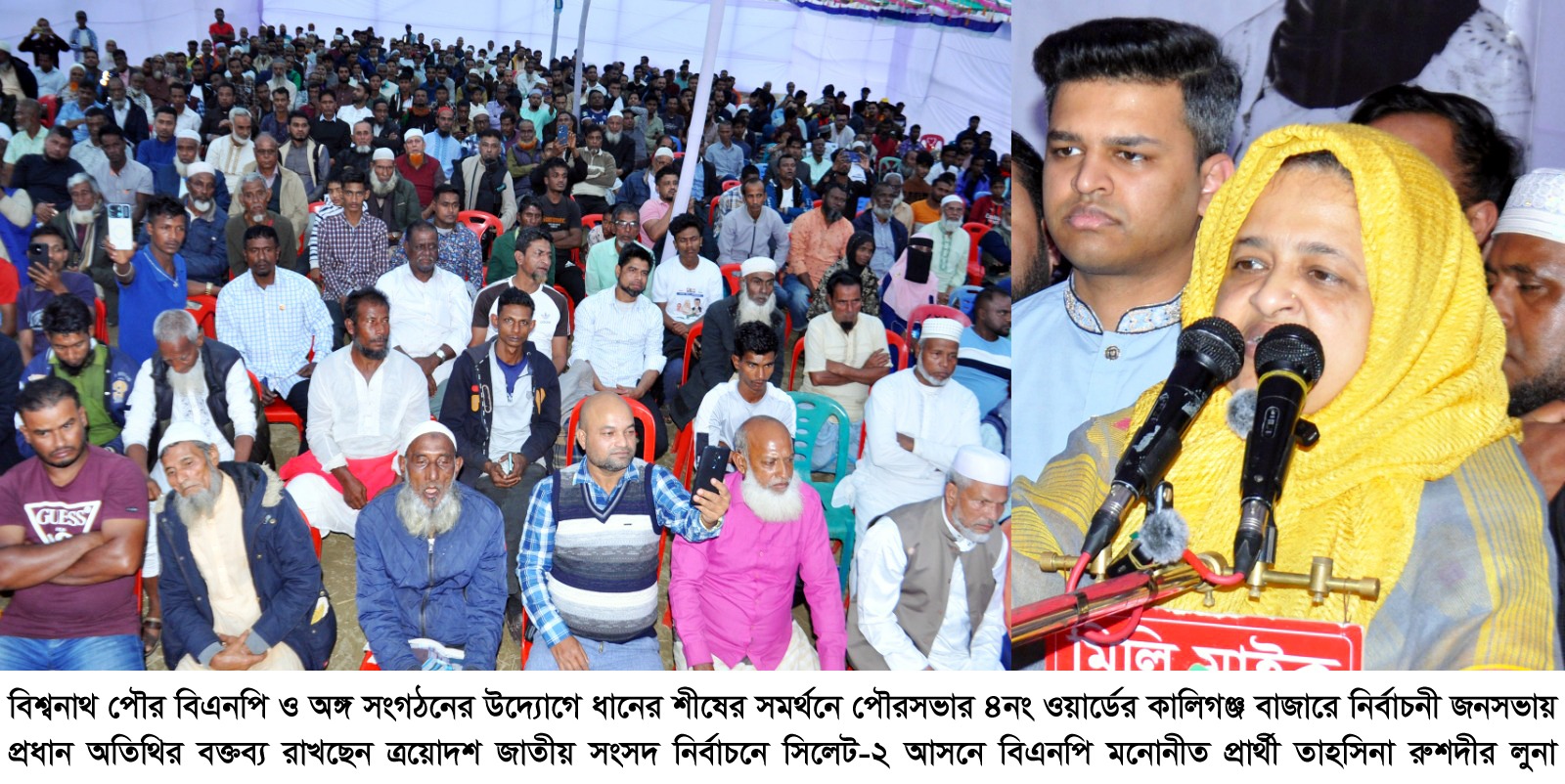 কালিগঞ্জ বাজারে বিএনপির জনসভায় ভোট শেষে ফলাফল না দেখা পর্যন্ত কেন্দ্র না ছাড়ার আহ্বান তাহসিনা রুশদীর লুনার