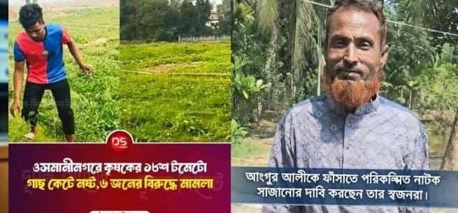ওসমানীনগরে মাছ উত্তোলন ও টমেটো গাছ কাটা নিয়ে উত্তেজনা, নিরপেক্ষ তদন্তের দাবি