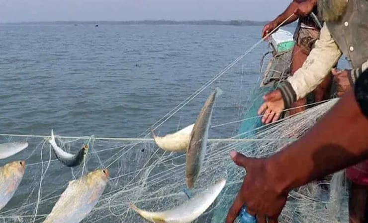 সাগরে আজ থেকে ৫৮ দিনের মাছ ধরায় নিষেধাজ্ঞা শুরু